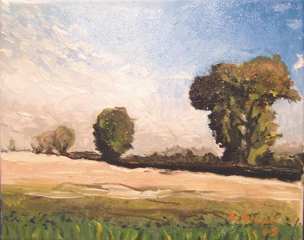 Plains, oil on canvas